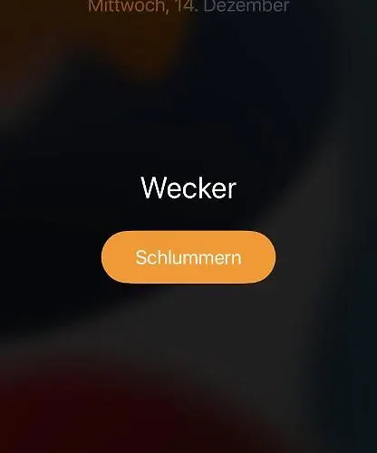 Schoene Mit Dem Garten *